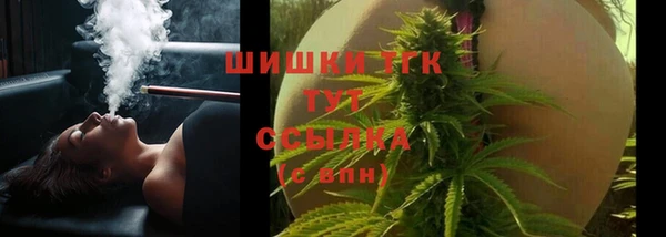 дмт Абаза