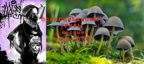 МДПВ Абинск