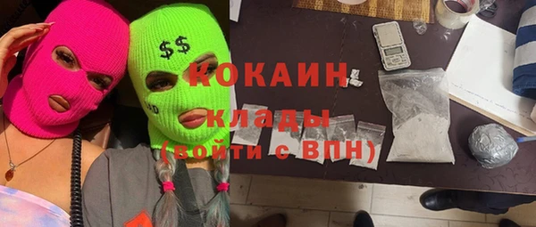 дмт Абаза
