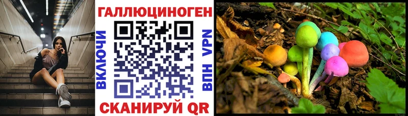 Псилоцибиновые грибы Psilocybine cubensis  купить наркотики сайты  omg рабочий сайт  нарко площадка клад  Жердевка 